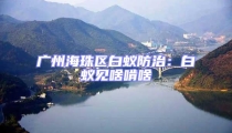 廣州海珠區白蟻防治:白蟻見啥啃啥