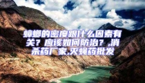 蟑螂的密度跟什么因素有關?應該如何防治?,消殺藥廠家,滅蠅藥批發