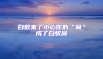 白蟻來了小心你的“窩”成了白蟻窩