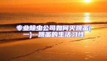 專業除蟲公司如何滅跳蚤(一)--跳蚤的生活習性