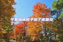 今夏揚(yáng)城蚊子多了還是少了？