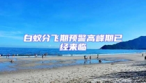 白蟻分飛期預(yù)警高峰期已經(jīng)來臨