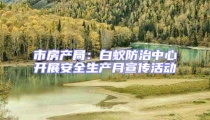 市房產局:白蟻防治中心開展安全生產月宣傳活動