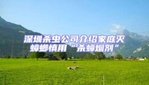 深圳殺蟲公司介紹家庭滅蟑螂慎用“殺蟑煙劑”