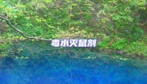 毒水滅鼠劑