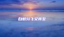 白蟻分飛又將至