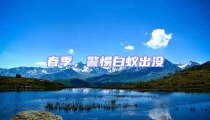 春季,警惕白蟻出沒