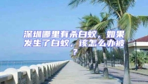 深圳哪里有殺白蟻,如果發(fā)生了白蟻,該怎么辦被?