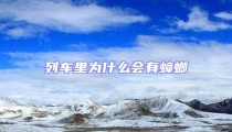列車里為什么會有蟑螂
