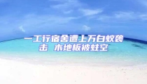 一工行宿舍遭上萬白蟻襲擊 木地板被蛀空