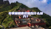冬季蟑螂喜歡躲在什么地方?