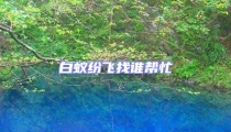 白蟻紛飛找誰幫忙