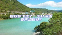 白蟻都飛走了,為什么還要滅治白蟻?