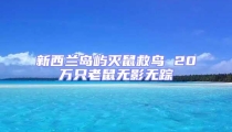 新西蘭島嶼滅鼠救鳥 20萬只老鼠無影無蹤