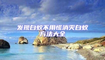 發(fā)現(xiàn)白蟻不用慌消滅白蟻方法大全