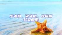 滅老鼠,滅老鼠,養貓保險又管用