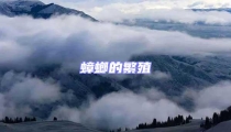 蟑螂的繁殖