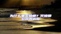 為什么要滅蟑螂?滅蟑螂公司告訴你