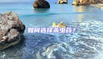 如何選擇殺蟲藥?