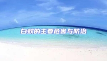 白蟻的主要危害與防治