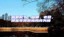 盛夏時節(jié),蟑螂、老鼠、跳蚤等頻頻鬧騰商務樓