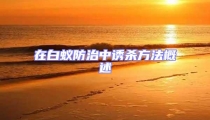 在白蟻防治中誘殺方法概述