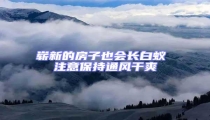 嶄新的房子也會長白蟻 注意保持通風干爽