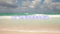 工廠倉庫白蟻怎么防治