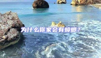 為什么你家會有蟑螂?