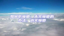 如何防蟑螂,殺滅蟑螂的辦法,消滅蟑螂