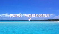 黃求應:與白蟻為鄰的日子