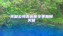 滅鼠公司告訴你冬季如何滅鼠