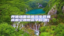養(yǎng)豬場葡萄園滋生蒼蠅 成群空襲附近學(xué)校(圖)