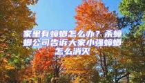 家里有蟑螂怎么辦?殺蟑螂公司告訴大家小強(qiáng)蟑螂怎么消滅