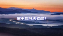 家中如何滅老鼠?