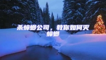 殺蟑螂公司,教你如何滅蟑螂