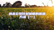 消殺公司針對蟑螂的噴灑方法(一)