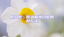 防白蟻:防治林木白蟻的好方法