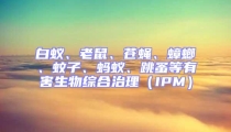 白蟻、老鼠、蒼蠅、蟑螂、蚊子、螞蟻、跳蚤等有害生物綜合治理(IPM)