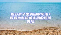 擔心房子里的白蟻防治?看看這些簡單實用的預防方法