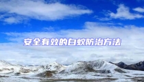 安全有效的白蟻防治方法