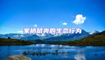 家棲鼠類的生態行為