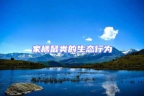 家棲鼠類的生態行為