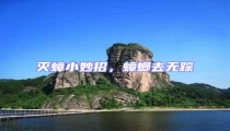 滅蟑小妙招,蟑螂去無蹤