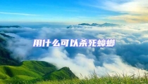 用什么可以殺死蟑螂