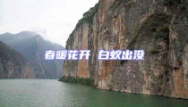春暖花開 白蟻出沒