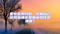 家中發現白蟻,究竟自己花錢處理還是物業掏錢處理呢?