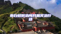 市白蟻防治所開展滅治行動(dòng)