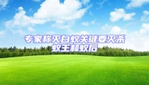 專(zhuān)家稱滅白蟻關(guān)鍵要滅殺蟻王和蟻后