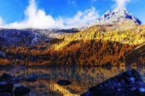 家庭害蟲(chóng)的預(yù)防措施